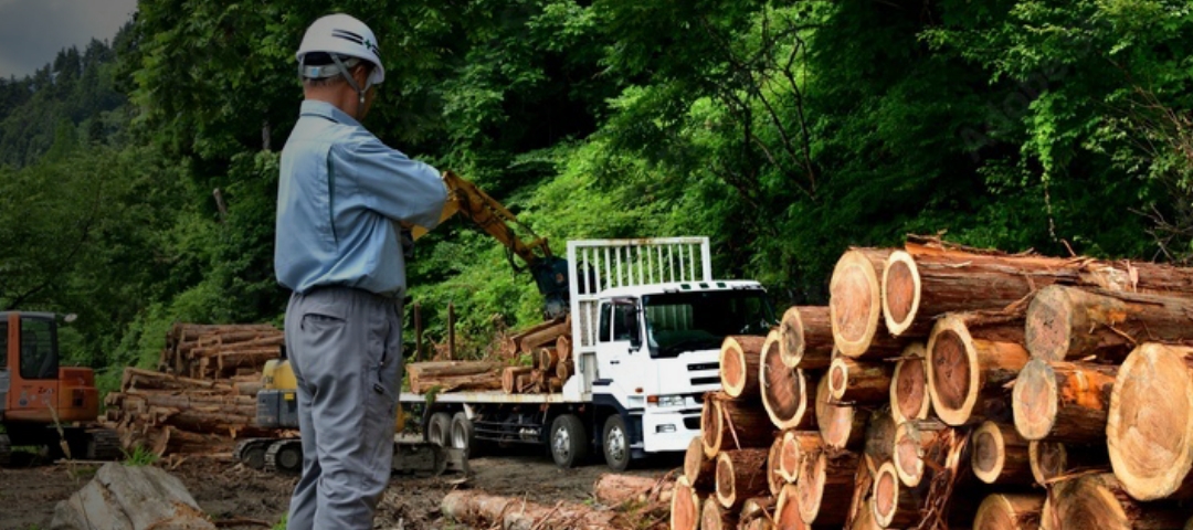 素材生産／森林認証の取得
